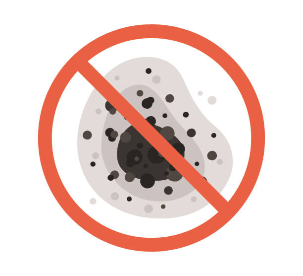 Best Air Quality Testing for Mold Spores  in Mbrian Park, CA