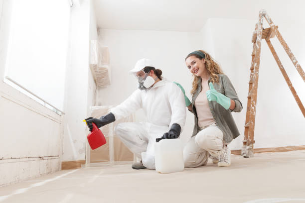 Best Biohazard Mold Removal  in Mbrian Park, CA